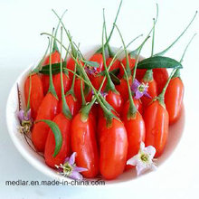 Bayas de Goji rojas orgánicas de Ningxia --100% de materia prima estupenda